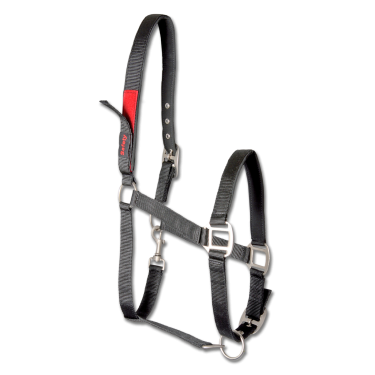 Sicherheits-Halfter für Pferde Waldhausen – Reitsport