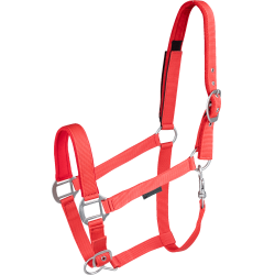 Sicherheits-Halfter für Pferde Waldhausen – Reitsport
