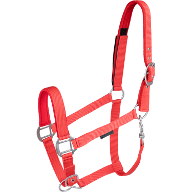Sicherheits-Halfter für Pferde Waldhausen – Reitsport