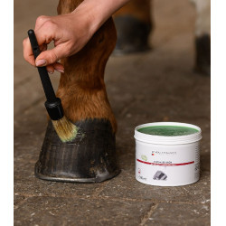 Hufpflege Fett Waldhausen 500 ml – Reitsport