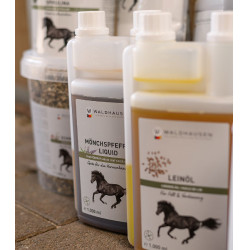 Gattilier Waldhausen – Hormon-Support für Pferde | Equitation
