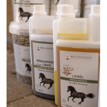 Gattilier Waldhausen – Hormon-Support für Pferde | Equitation