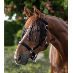 Waldhausen Fliegenfransen fürs Halfter – Reitsport Waldhausen Fliegenfransen fürs Halfter – Reitsport