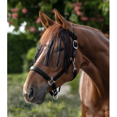 Waldhausen Fliegenfransen fürs Halfter – Reitsport Waldhausen Fliegenfransen fürs Halfter – Reitsport