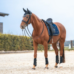 Satteldecke Dressur Night Collection Back On Track Satteldecke Dressur Night Collection Back On Track