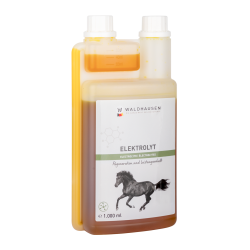 Elektrolyt-Lösung fürs Pferd von Waldhausen – Reitsport