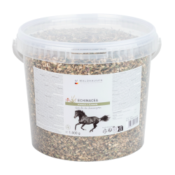 Echinacea für Pferde – Immunstärkung | equi-clic Echinacea für Pferde – Immunstärkung | equi-clic