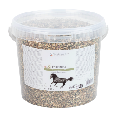 Echinacea für Pferde – Immunstärkung | equi-clic Echinacea für Pferde – Immunstärkung | equi-clic