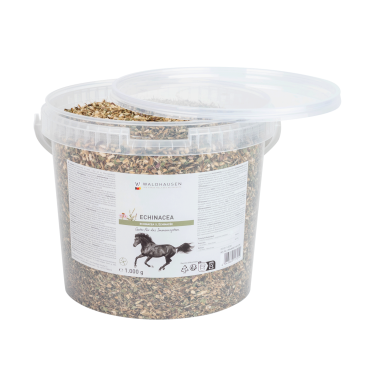 Echinacea für Pferde – Immunstärkung | equi-clic Echinacea für Pferde – Immunstärkung | equi-clic