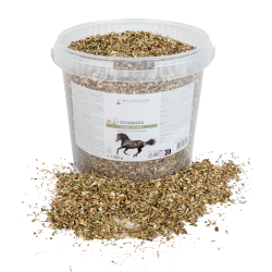 Echinacea für Pferde – Immunstärkung | equi-clic Echinacea für Pferde – Immunstärkung | equi-clic