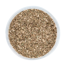 Echinacea für Pferde – Immunstärkung | equi-clic Echinacea für Pferde – Immunstärkung | equi-clic