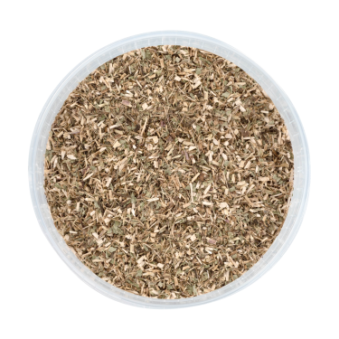 Echinacea für Pferde – Immunstärkung | equi-clic Echinacea für Pferde – Immunstärkung | equi-clic