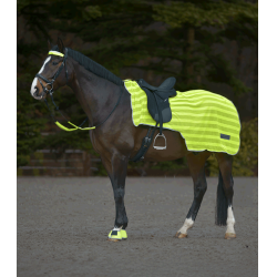 Reflex-Nierendecke fürs Reiten | Waldhausen Sicherheit Reflex-Nierendecke fürs Reiten | Waldhausen Sicherheit