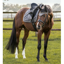 Satteldecke Dressur Night Collection Back On Track Grau Satteldecke Dressur Night Collection Back On Track Grau