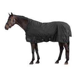 Pferdedecke Outdoor 200 g High Neck – wasserdicht | Equi-Clic Pferdedecke Outdoor 200 g High Neck – wasserdicht | Equi-Clic
