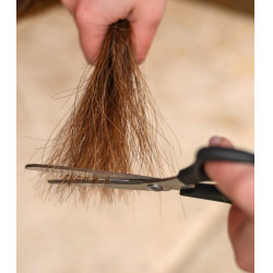 Pferdeschere Easy Cut – Mähne & Schweif | Equi-Clic