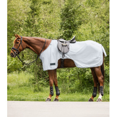 Fliegendecke fürs Pferd Waldhausen Protect – Reiten Fliegendecke fürs Pferd Waldhausen Protect – Reiten