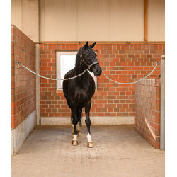 Anbindekette Pferd 150 cm – Waldhausen | Equi-Clic