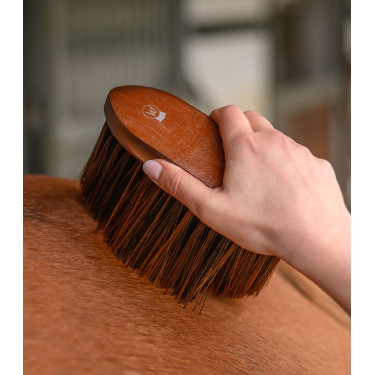 Pferdebürste Waldhausen HardWood – weiche Kardätsche