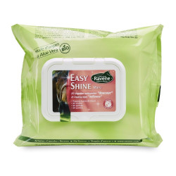 Easy Shine Wipe Ravene Reinigungstücher Easy Shine Wipe Ravene Reinigungstücher