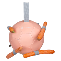 Karottenball Waldhausen Linnea Rose Rosa