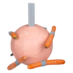 Pferde-Spielball Waldhausen – Karotten-Futterball