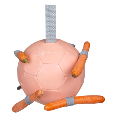 Pferde-Spielball Waldhausen – Karotten-Futterball