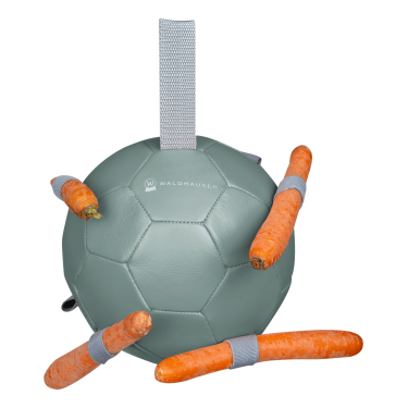 Pferde-Spielball Waldhausen – Karotten-Futterball