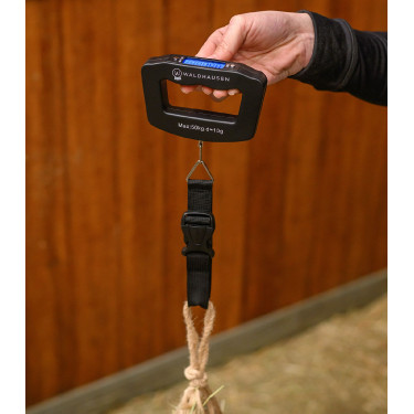 Digitale Hängewaage 50 kg für Reitsport – Waldhausen
