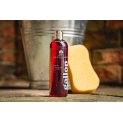 Pferdeshampoo für weißes Fell – Gallop® Pflege