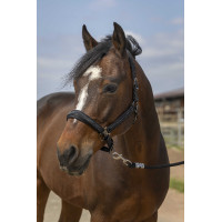 Halfter Equithème Nylon Strass Schwarz Halfter Equithème Nylon Strass Schwarz