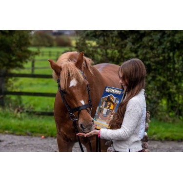 Adventskalender Pferdeleckerlis Stud Muffins – Reitsport