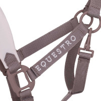 Technisches Halfter mit doppelter Verstellung und gummibeschichteten Schnallen Equestro