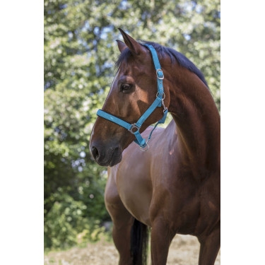 Reitgenickstück Fluo mit Neoprenpolsterung