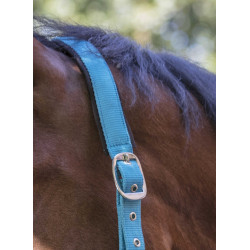 Reitgenickstück Fluo mit Neoprenpolsterung