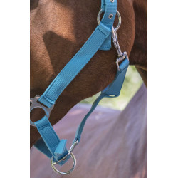 Reitgenickstück Fluo mit Neoprenpolsterung