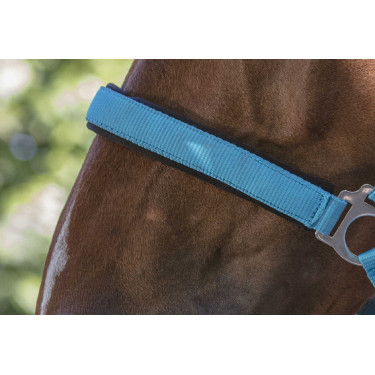 Reitgenickstück Fluo mit Neoprenpolsterung