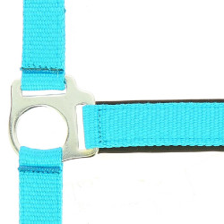 Reitgenickstück Fluo mit Neoprenpolsterung