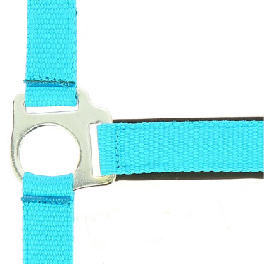 Reitgenickstück Fluo mit Neoprenpolsterung