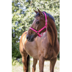 Reitgenickstück Fluo mit Neoprenpolsterung