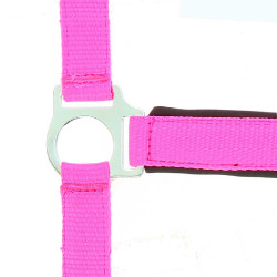 Reitgenickstück Fluo mit Neoprenpolsterung