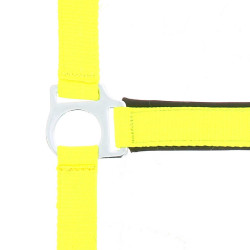Reitgenickstück Fluo mit Neoprenpolsterung