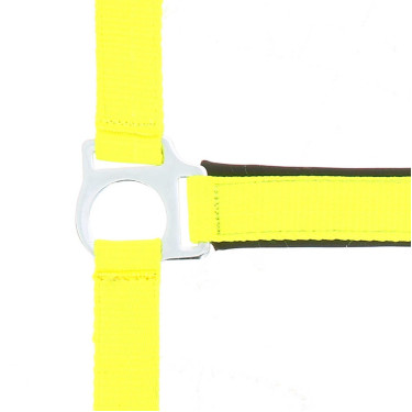 Reitgenickstück Fluo mit Neoprenpolsterung