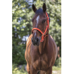 Reitgenickstück Fluo mit Neoprenpolsterung
