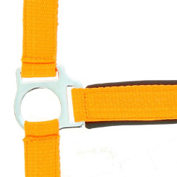 Reitgenickstück Fluo mit Neoprenpolsterung