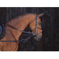 Gummizügel Riding World Havanna Braun