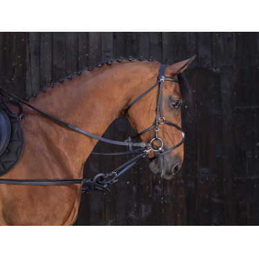 Gummizügel fürs Reiten & Longieren – Riding World