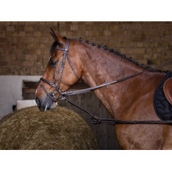 Gummizügel fürs Reiten & Longieren – Riding World