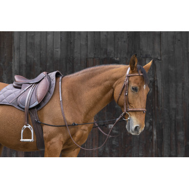 Elastischer Longierhilfe für Pferdetraining