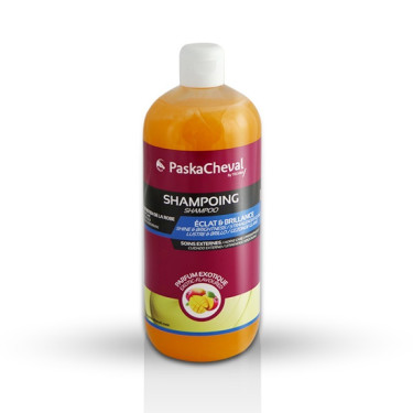 Paskacheval Shampoo Paskacheval Shampoo